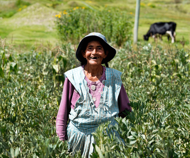 fundacion-alternativas-la-paz